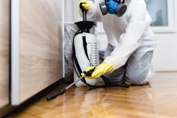 Best Mosquito Control Services  in Lincoln Beach, OR