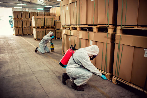 Best Best Pest Control Companies  in Lincoln Beach, OR