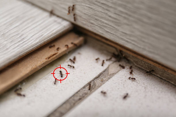 Best Commercial Pest Control Services  in Lincoln Beach, OR
