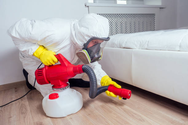 Best Affordable Pest Control Services  in Lincoln Beach, OR