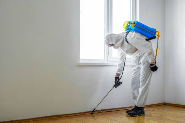 Best Pest Removal Services  in Lincoln Beach, OR