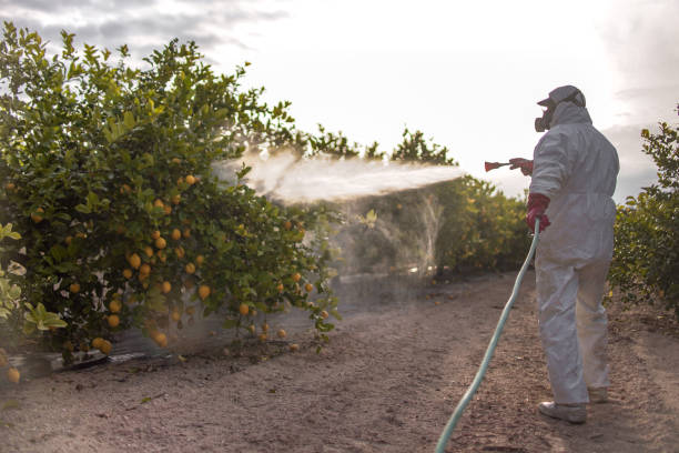 Best Best Pest Control Companies  in Lincoln Beach, OR