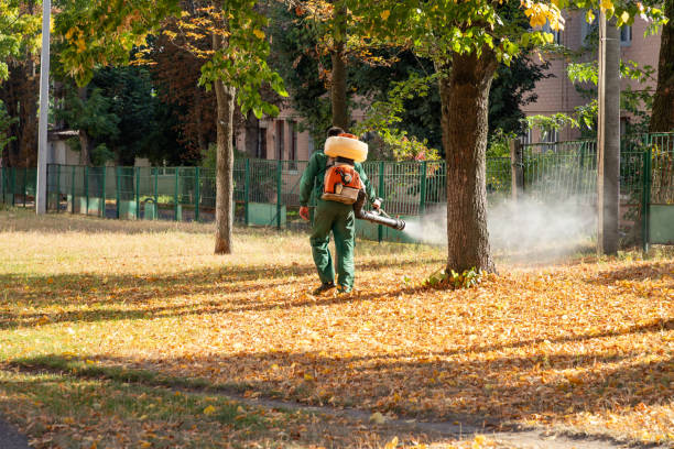Best Local Pest Control Services  in Lincoln Beach, OR