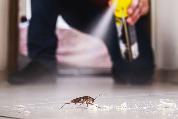 Best Termite Control Services  in Lincoln Beach, OR