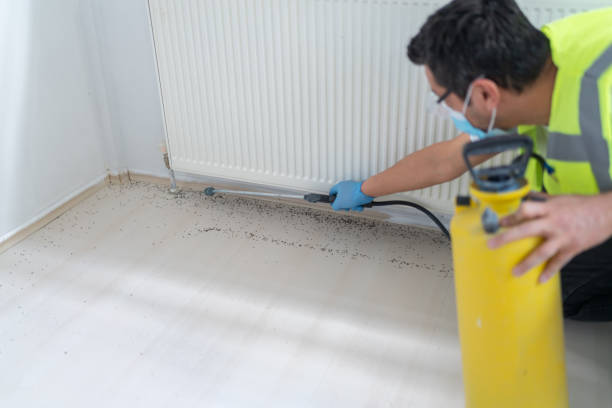 Best Best Pest Control Companies  in Lincoln Beach, OR