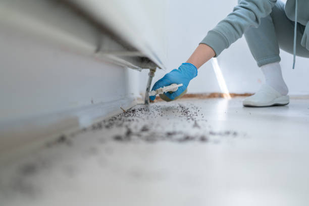 Pest Prevention Services in Lincoln Beach, OR