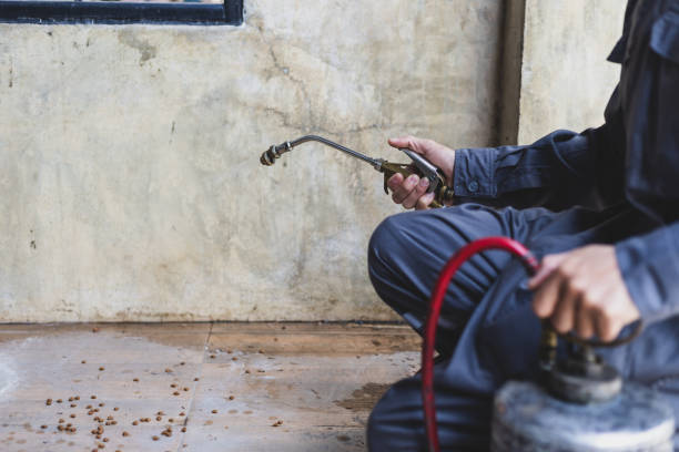 Best Wasp Removal Services  in Lincoln Beach, OR